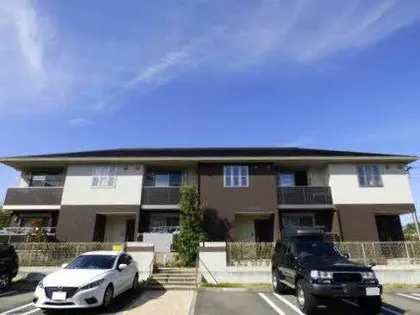 プリムローズの画像