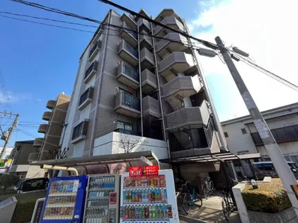 ルミノーゾスペランツァの画像