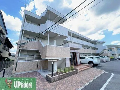 シャンボール ピアの画像