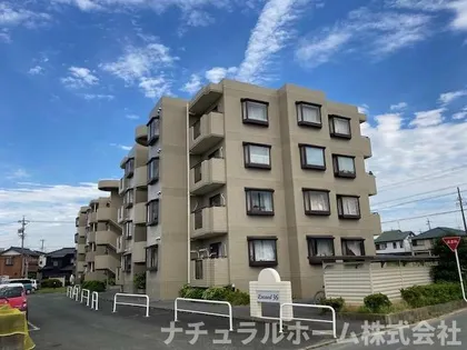 エクシード36の画像