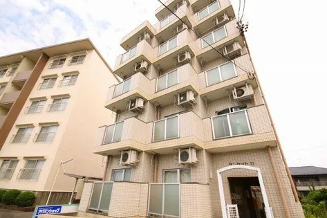 サンセット33の画像