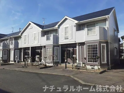 ファインスプリング Bの画像