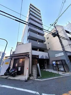 サザン長柄の画像