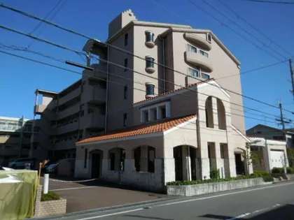 アグアの画像