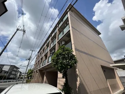 セントポーリアの画像