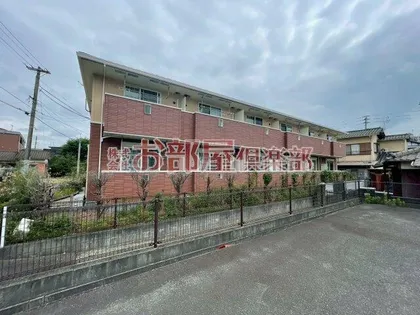SUN BRIGHTの画像