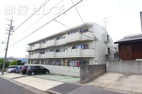 ブルッシュフィールド2の画像