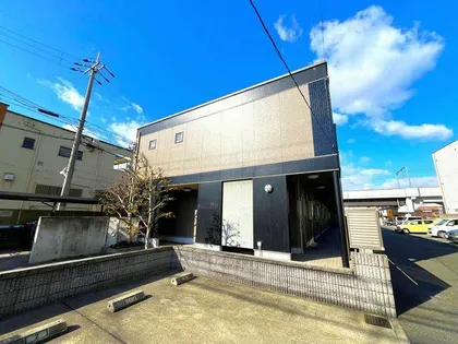 メゾフォルテの画像