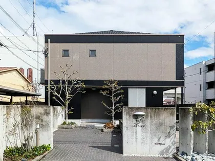 メゾフォルテの画像