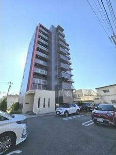 ラディナスティアの画像