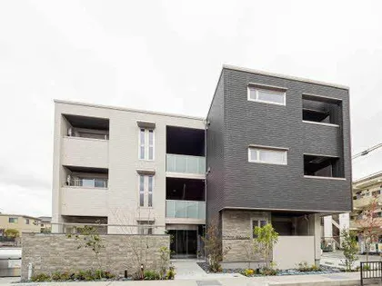 SHAMAISON WISTERIAの画像