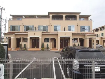 Yシャトレーヌの画像