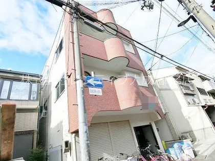 ランドレディIの画像