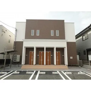 シーダーエムの画像