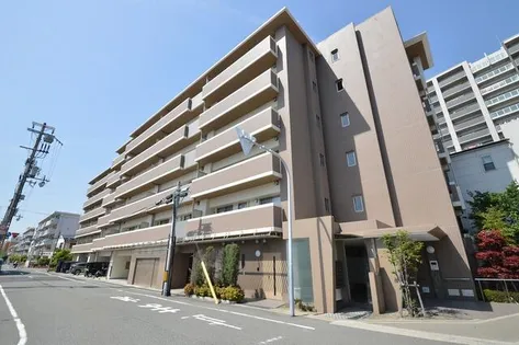 ラフィーネフォレスタの画像