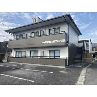 グリーンカワバタの画像