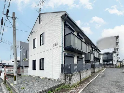 フローラルUNOの画像