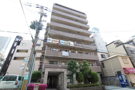 GATHERIA PACEの画像