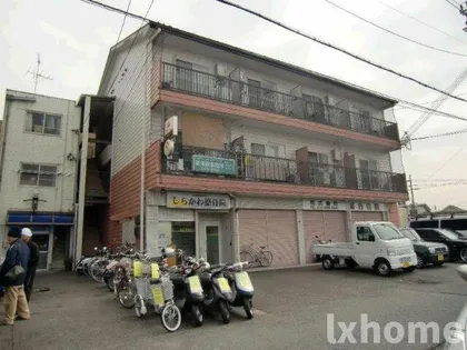 ジェレ白川の画像