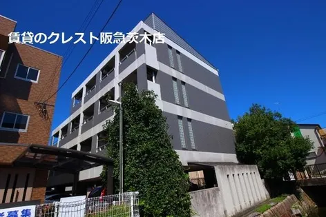 YOUS COURTの画像