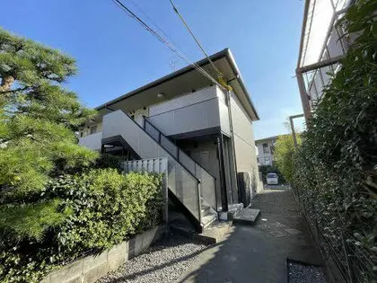 ヴィヴァーチェ 杉の画像