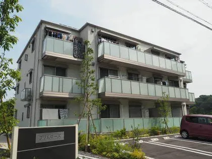 プリムローズの画像