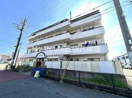 アクティ金田の画像