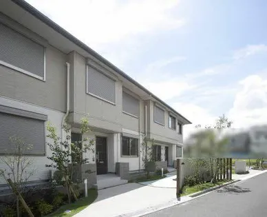 ベルデュール打上の画像