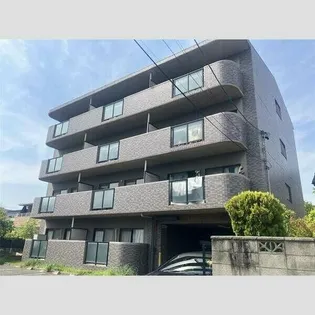 アムール正保の画像