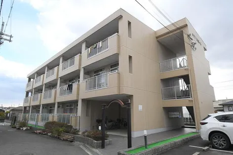 メゾンルミエールの画像