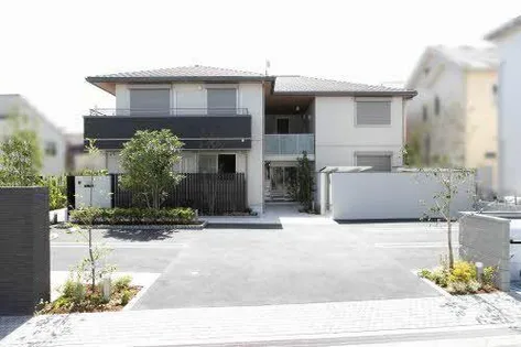 マンダリーヌの画像