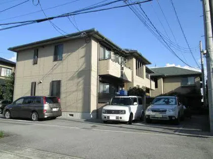 ストレチア松ガ花の画像