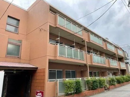 アペックス15の画像