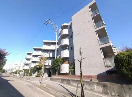 セレーブルの画像