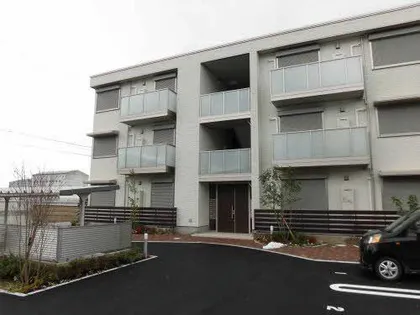 エバーグリーンの画像