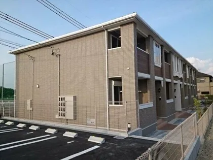 アンディーK Kの画像