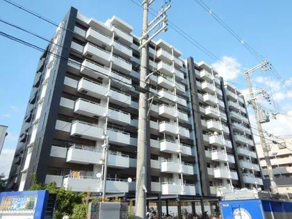 PICASSO HIRANOの画像