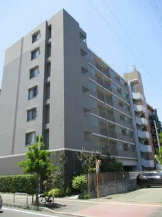 FLOWERS 花の画像