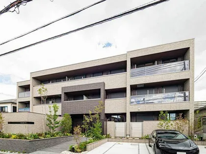 ZINNIA ELEGANS 塚口の画像