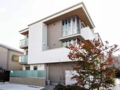 シャーメゾン芽の画像