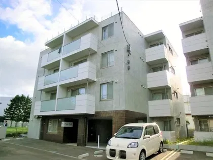 PLAN DOLLの画像