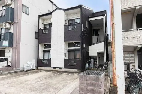 メイプルアーリーの画像