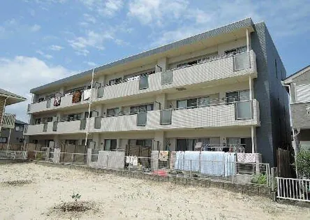 ブルームの画像