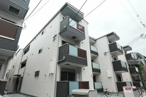 F ASECIA COLLINEの画像