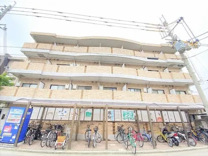 大阪府堺市堺区南三国ヶ丘町6丁【マンション】の外観