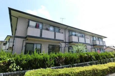 ソシア拾石の画像