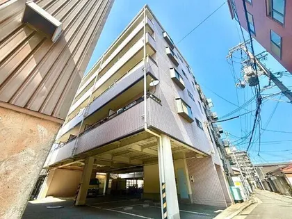 大阪府堺市堺区北庄町1丁【マンション】の外観
