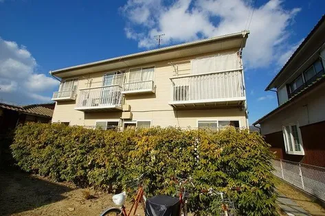 エバーグリーンの画像