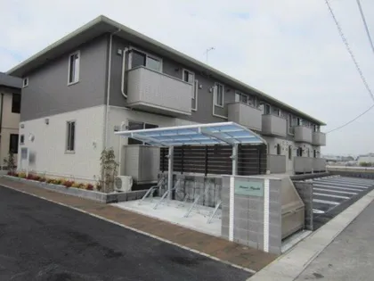 プルミエハヤシの画像