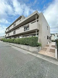 レージュグリーンの画像